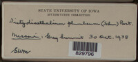 Image Associated With the Occurence
